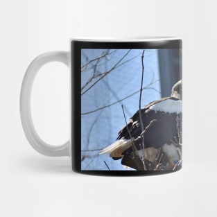 Stellar Sea Eagle Mug